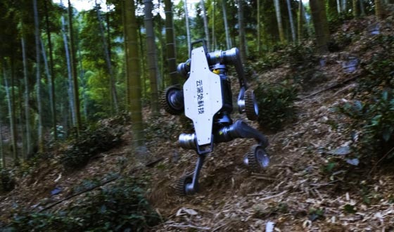 C17官方网站山猫