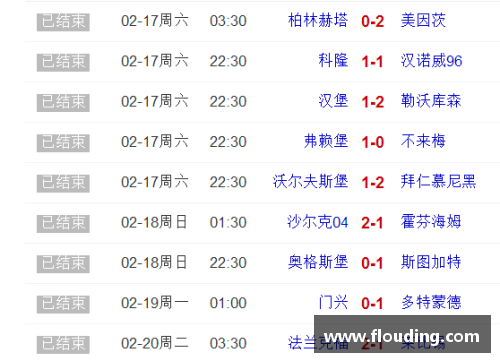 德甲第19轮综述+最新积分榜：领头羊客场告负，拜仁与门兴强势缩小差距 - 副本